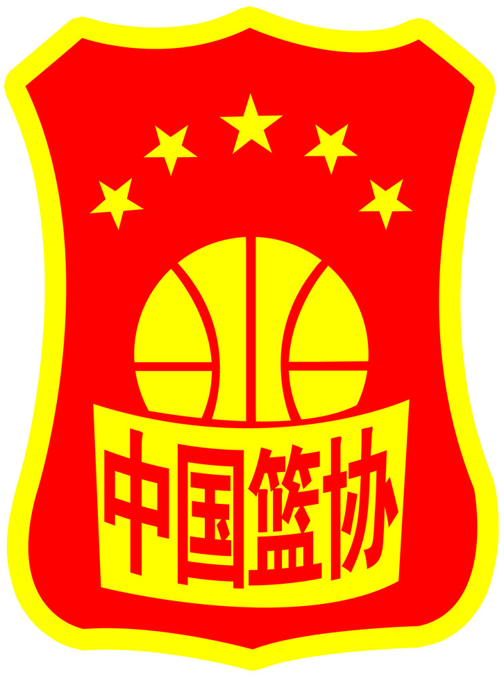 China 0-Pres Primary Logo iron on heat transfer v2